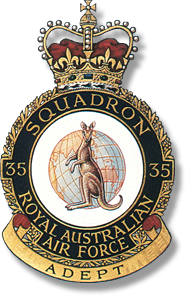 rtfv-35sqn-badge