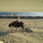Beach cleaning - Vietnam style.