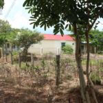 Kindergarten, Nui Dat.