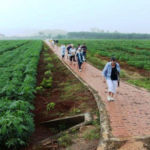 Nui Dat memorial walk.