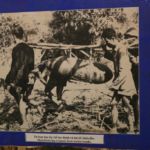 Waste not, want not!!